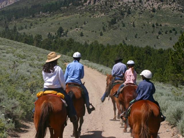 Les destinations de randonnée équestre préférées d’Equi’Nature